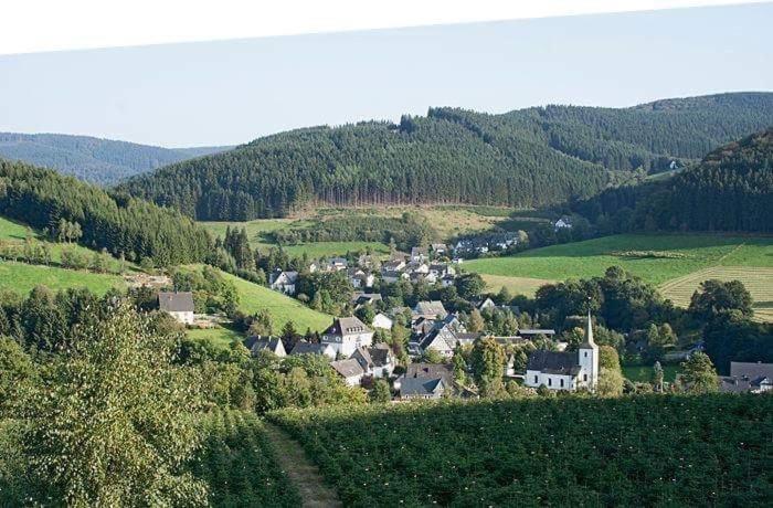 Pension Alois Hennecke Schmallenberg Extérieur photo