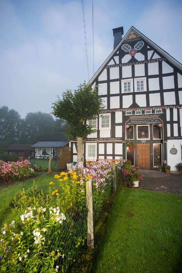 Pension Alois Hennecke Schmallenberg Extérieur photo